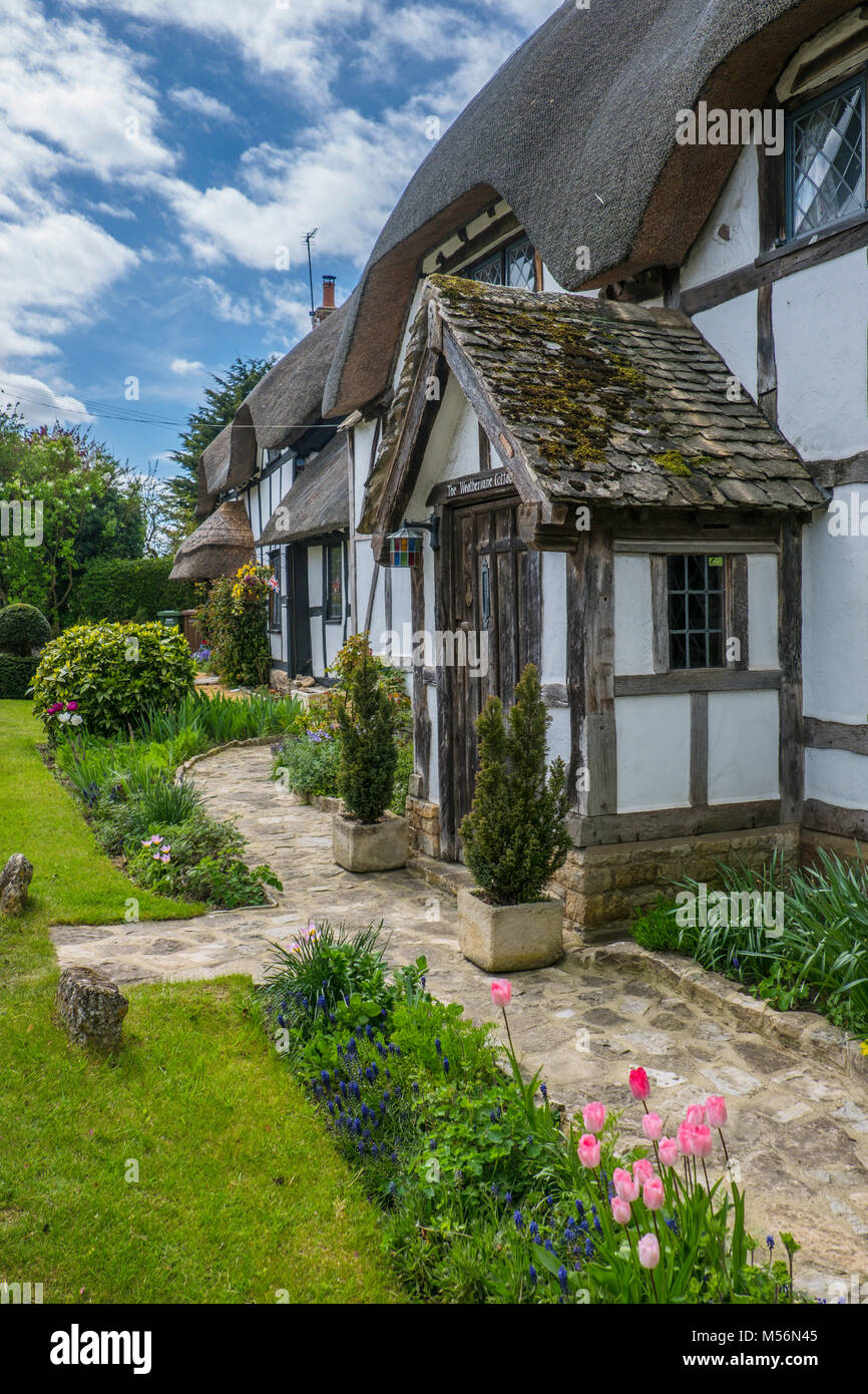 Pretty thatched cottages near Evesham Stock Photo Alamy