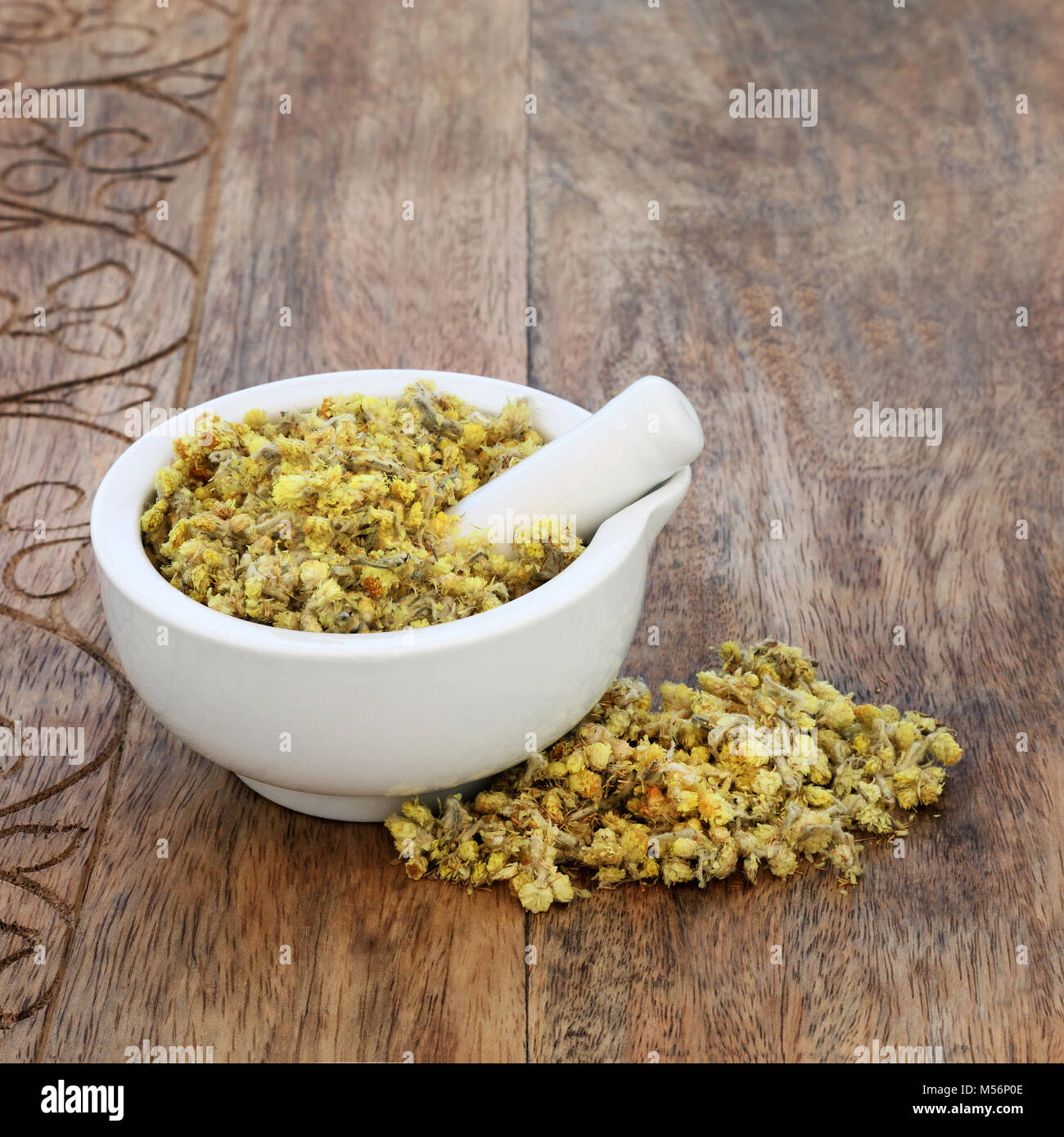 Everlasting herb flowers used in herbal medicine as a diuretic, is anti