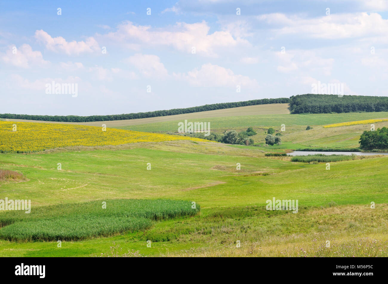 green field and blue sky Stock Photo - Alamy
