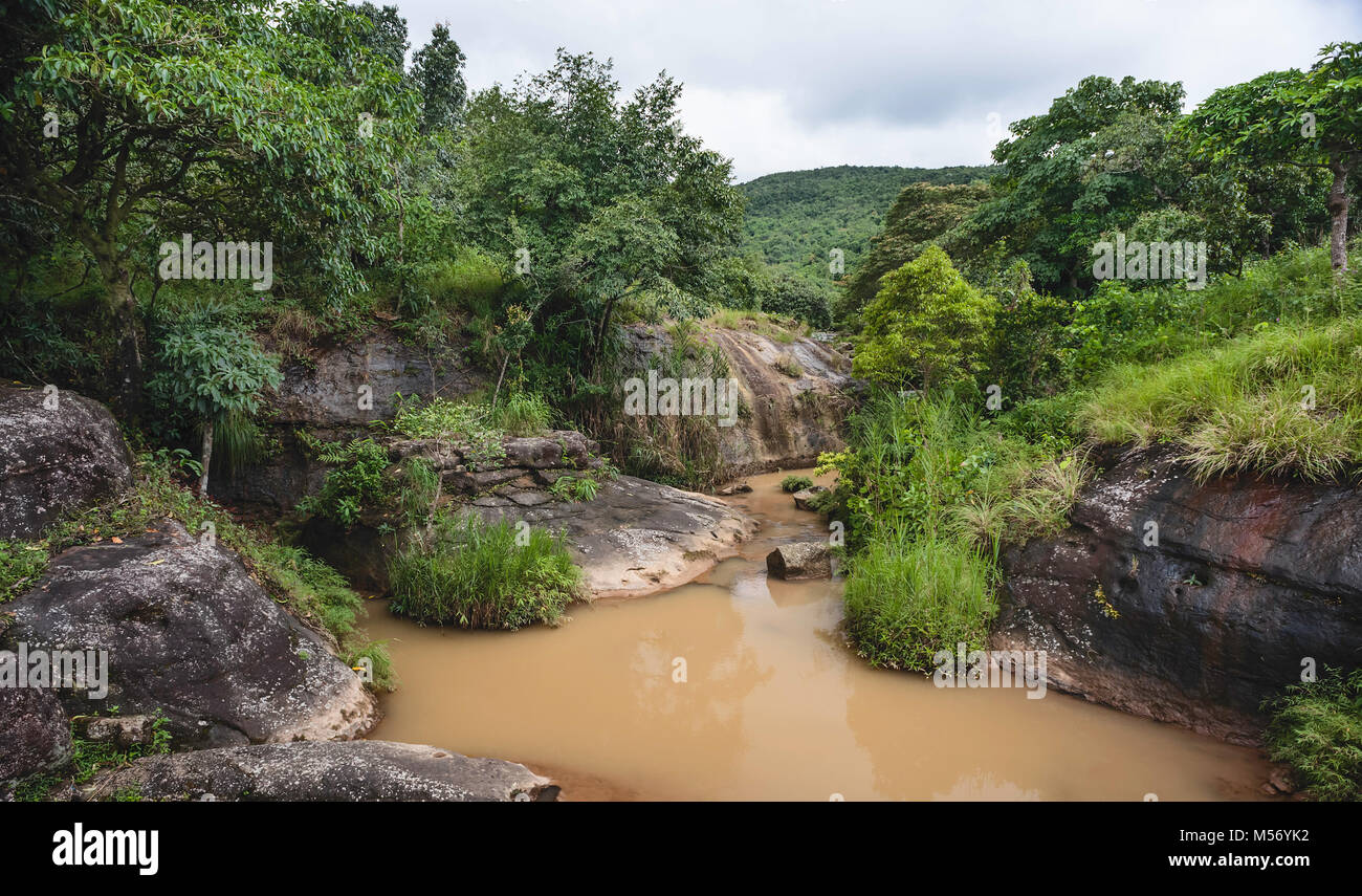 River flows through thick, layered forest deep in the Khasi hill on a monsoon morning near Shillong, Meghalaya, India. Stock Photo