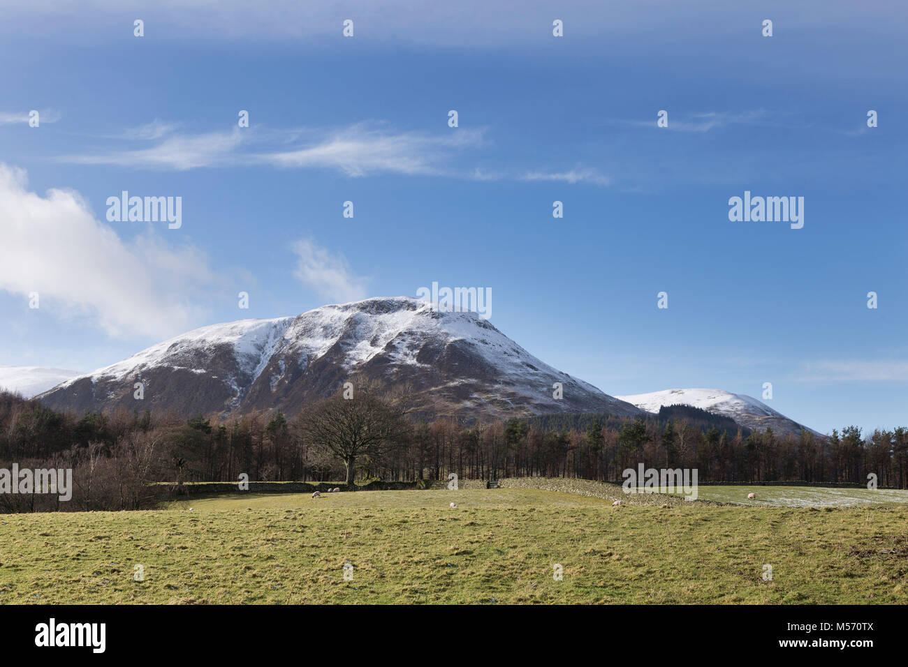 The Lake District, Cumbria, in winter with snow on the tops. Carling Knott viewed from Kirkhead, Loweswater Stock Photo