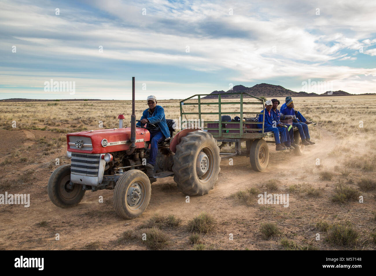 Farm workers returning on tractor and trailer after a day's work Stock