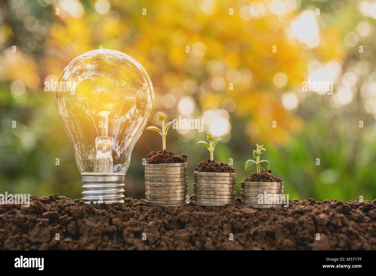 Energy saving light bulb and tree growing on stacks of coins on nature ...
