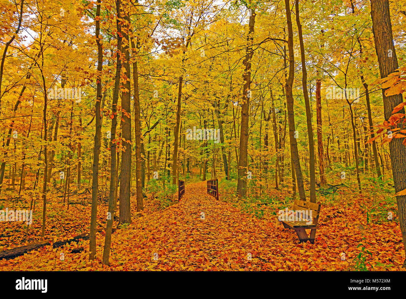 Morton illinois hires stock photography and images Alamy