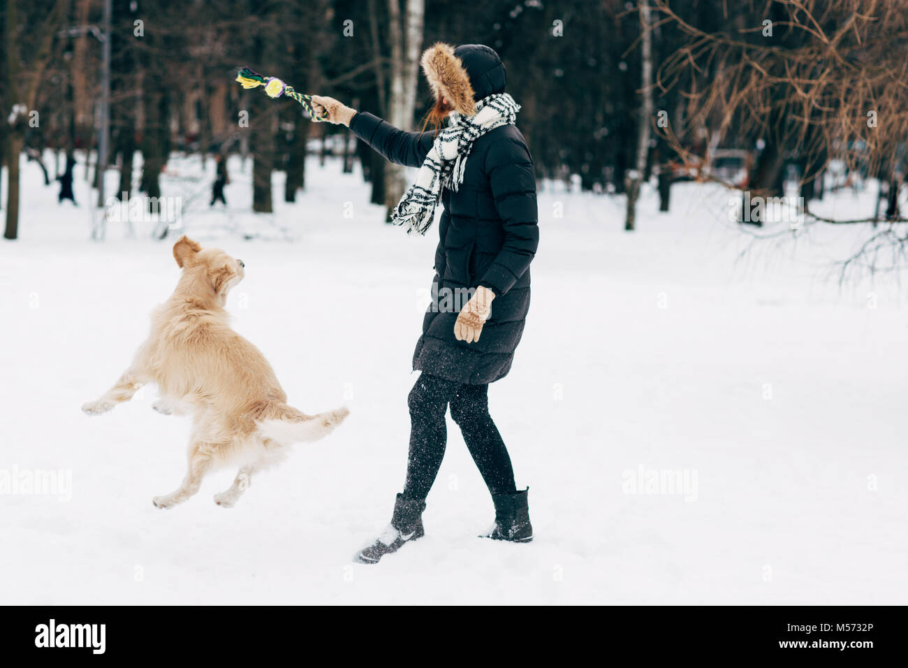 Picture of woman playing with retriever in winter Stock Photo