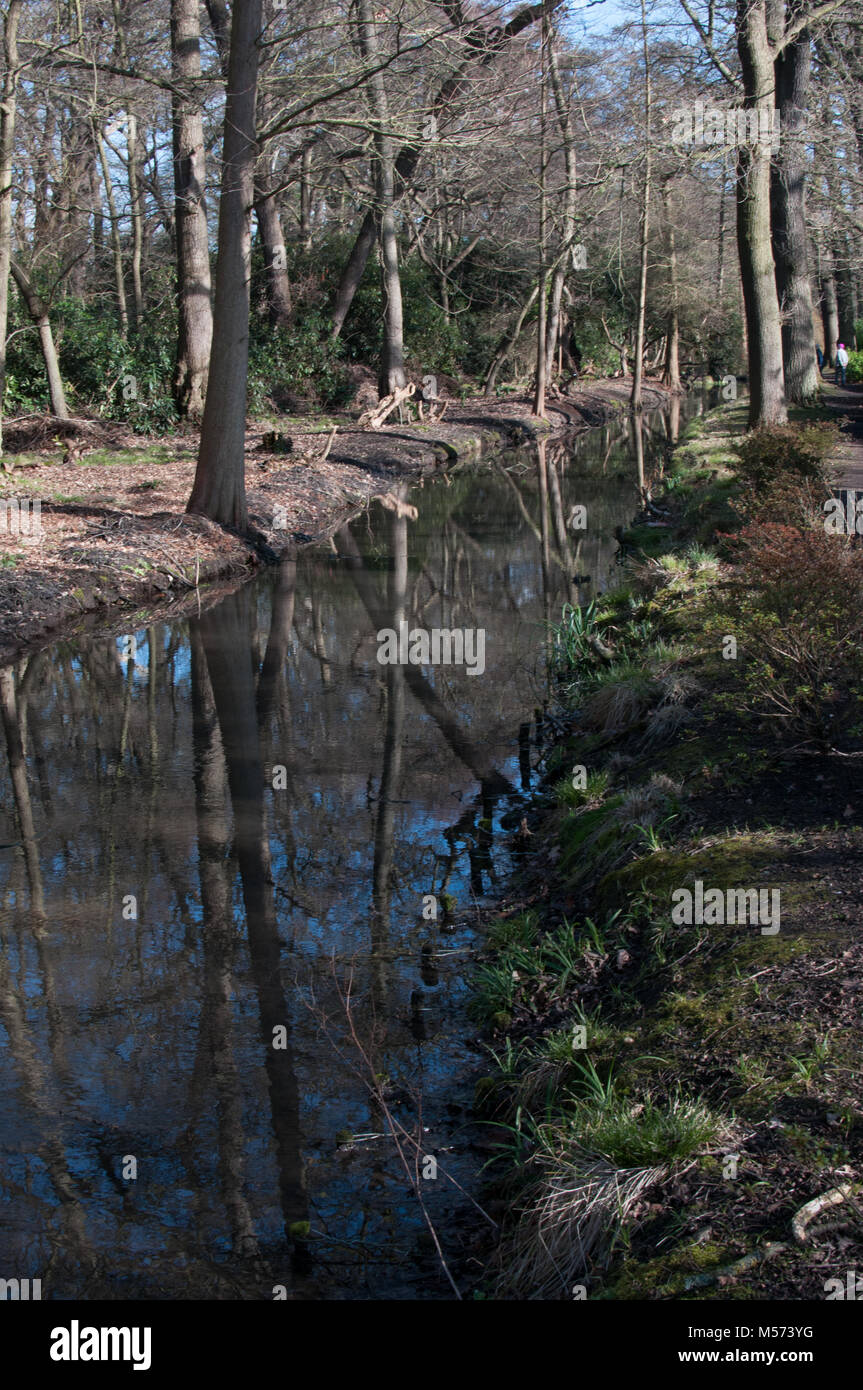 stream in bushy park South west london Stock Photo