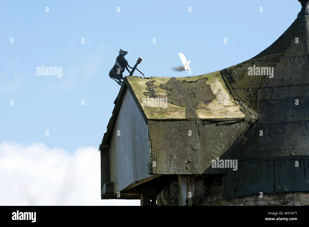 The windmill, North Leigh, Oxfordshire, England, UK Stock Photo Alamy