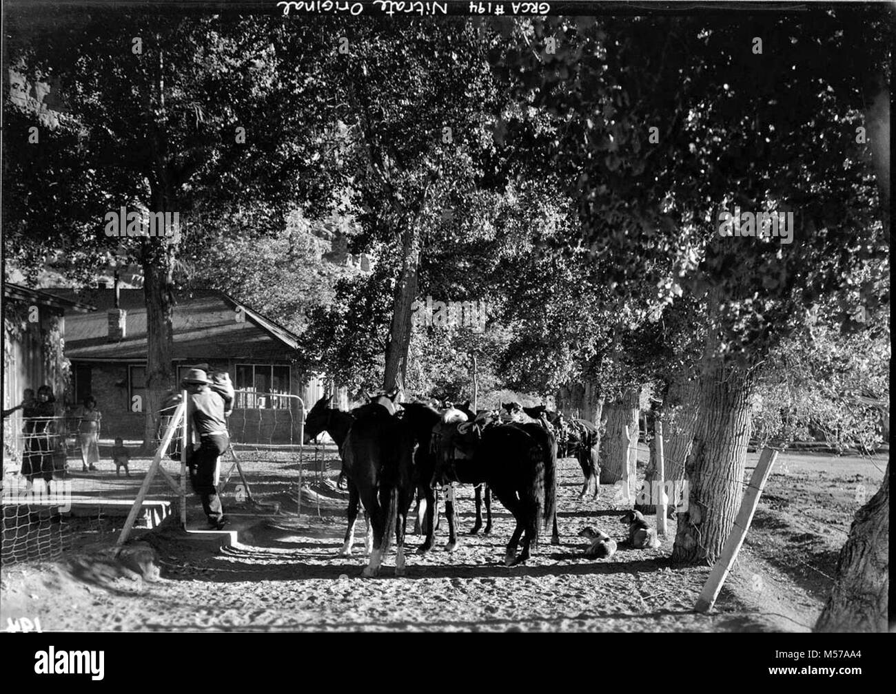 Grand Canyon Historic. HAVASUPAI INDIAN VILLAGE; HORSES, RIDERS, BUILDINGS IN BACKGROUND 14 NOV