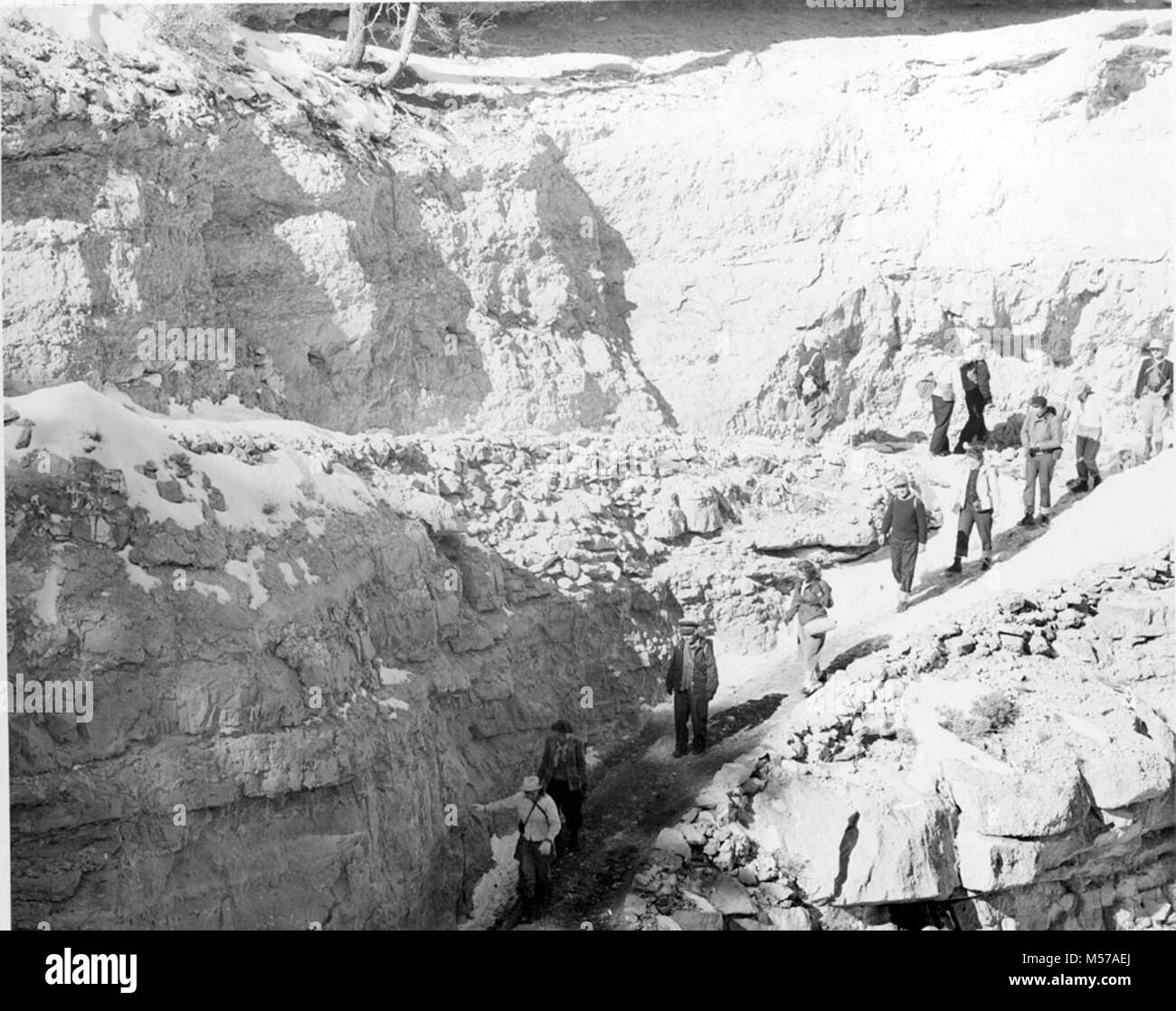 Grand Canyon Historic Kaibab Trail Sierra Club. MEMBERS OF THE SIERRA CLUB START DOWN FROM YAKI POINT ON KAIBAB TRAIL, ON A THREE DAY CAMPING TRIP TO PHANTOM RANCH.    CIRCA 1948. Stock Photo