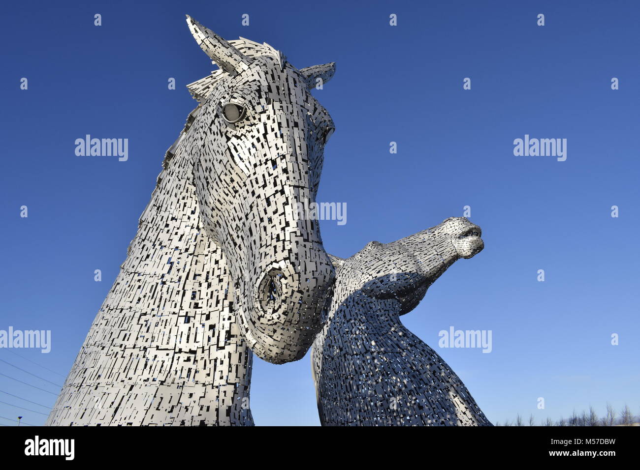 The Kelpies horse statues, Falkirk, Scotland Stock Photo Alamy