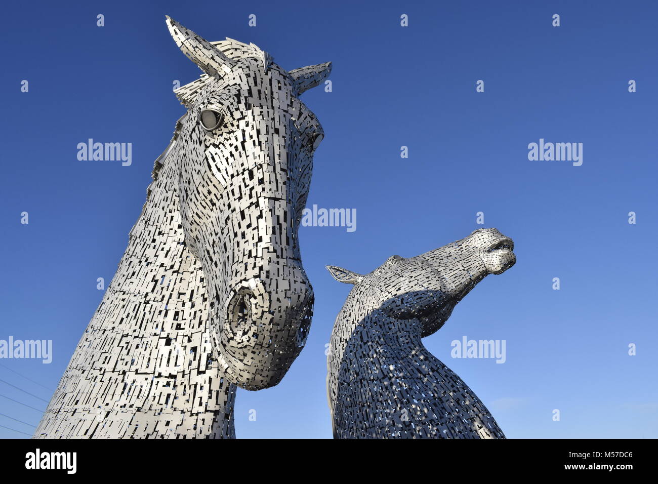 The Kelpies horse statues, Falkirk, Scotland Stock Photo Alamy