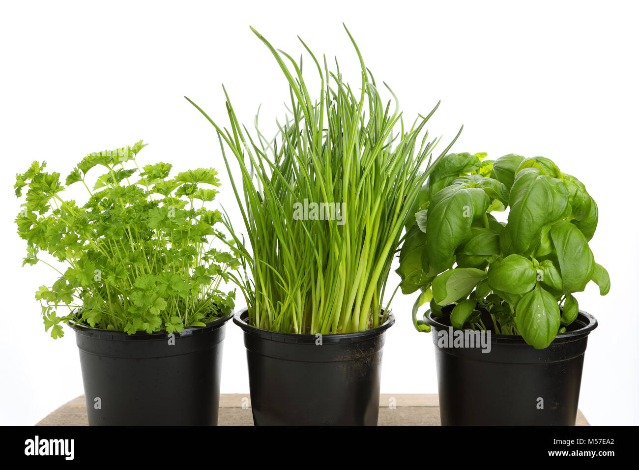 different herbs Stock Photo