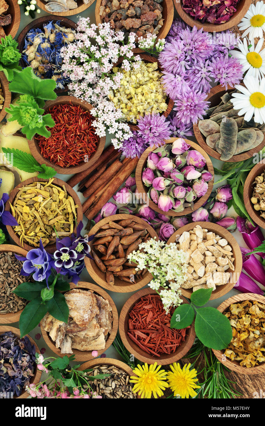 Medicinal herbs and flowers used in herbal medicine, homoeopathic and