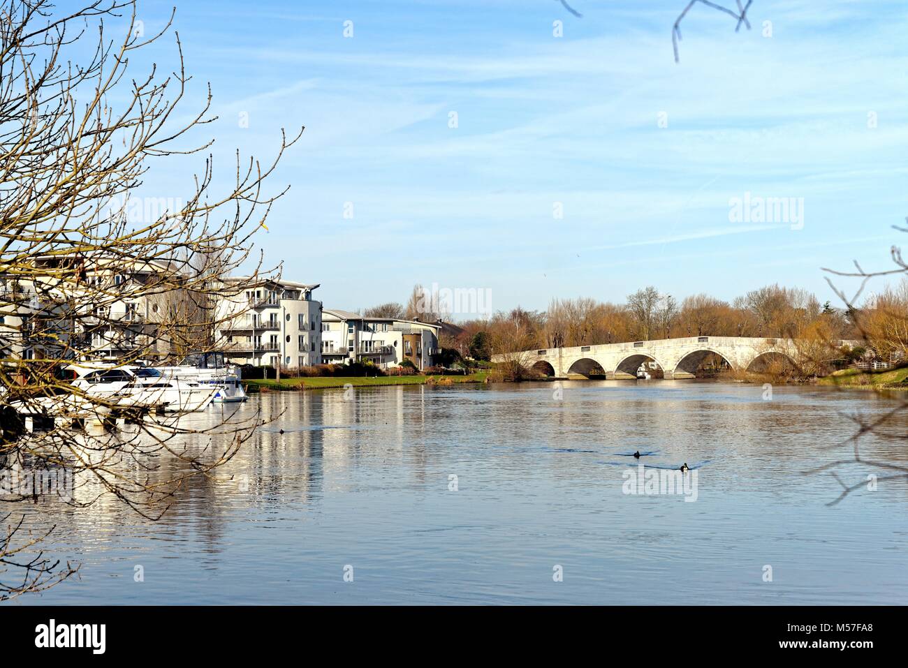 The River Thames at Chertsey Meads, Chertsey Surrey England UK Stock
