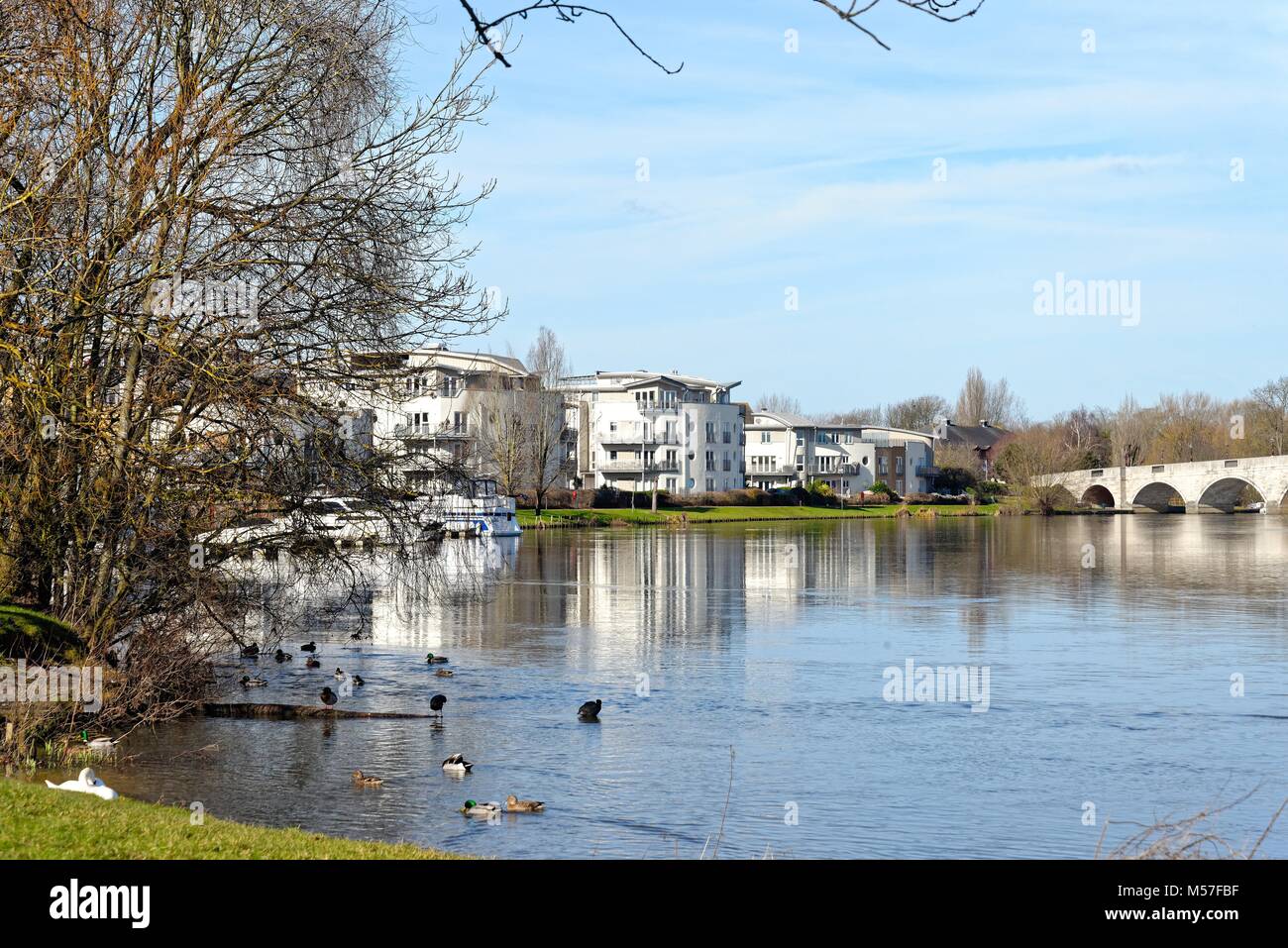The River Thames at Chertsey Meads, Chertsey Surrey England UK Stock
