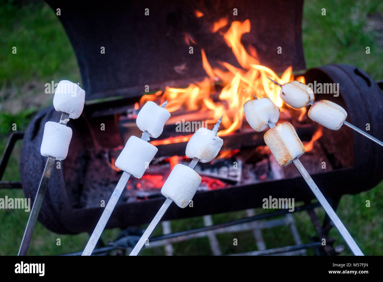 marshmallow on metal skewer Stock Photo