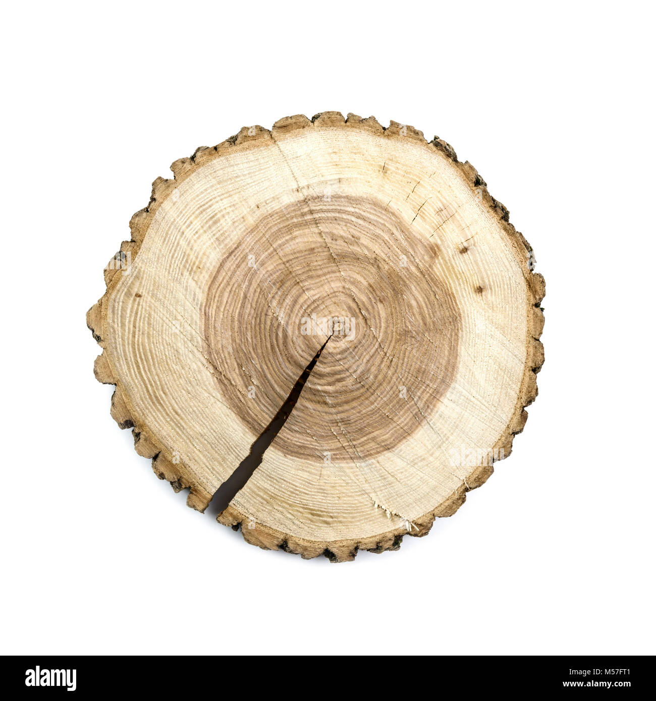 Round wooden cut board Stock Photo