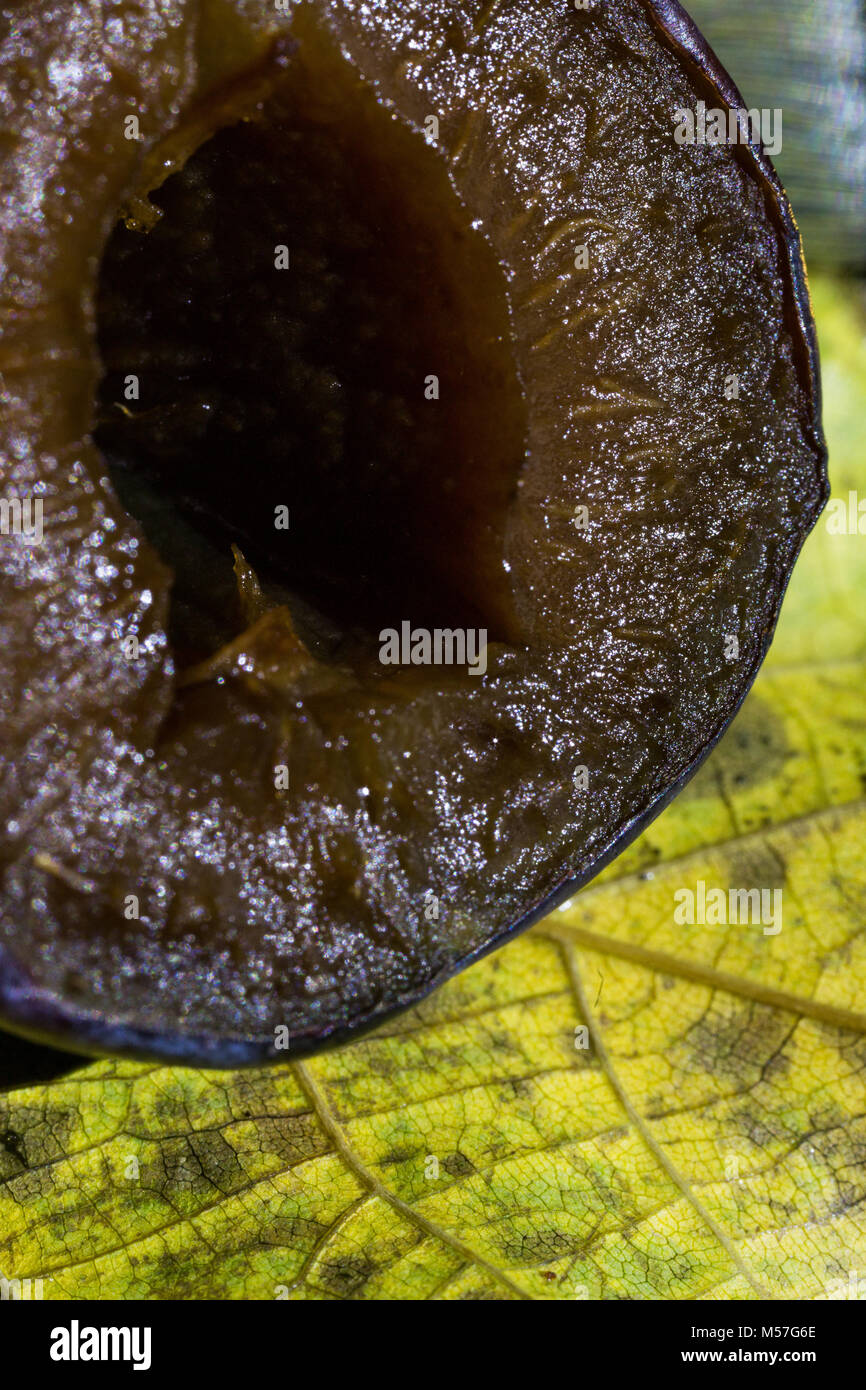 macro, cut, blue, leaflet, glare, water, harshness, detail, design, texture, purple, fruit, drop, organic, natural, food, color, plant, fresh Stock Photo