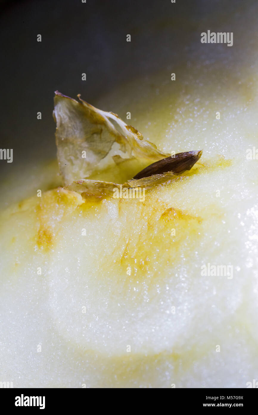 art, natural, abstract, food, background, water, nature, yellow, apple, macro, seed, flesh, detail, glare, shine, design, texture, floral, plant Stock Photo