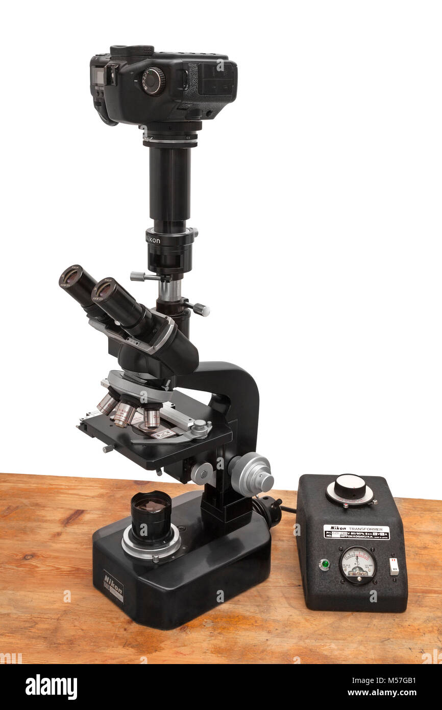 Vintage Nikon microscope 'S' photomicrography set-up with Canon camera Stock Photo