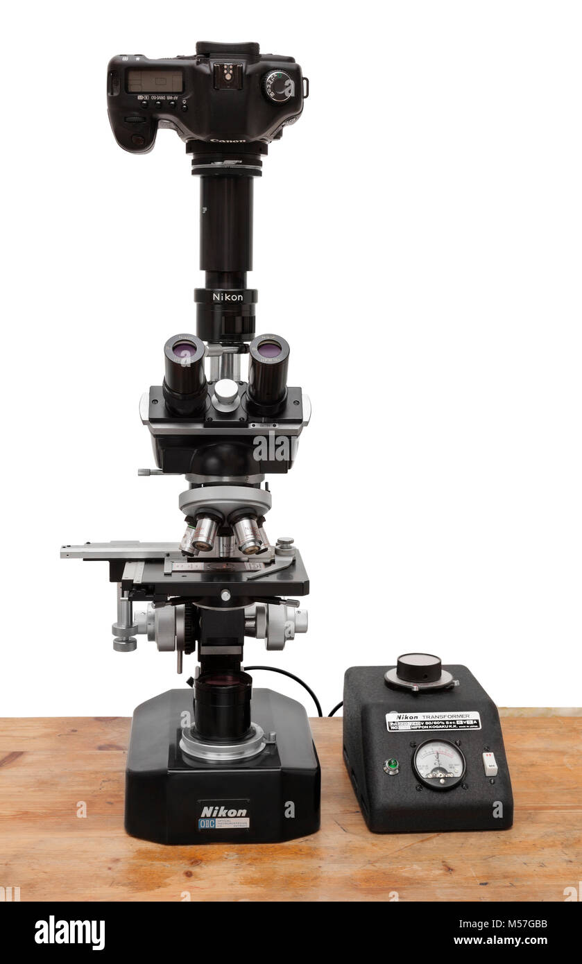 Vintage Nikon microscope 'S' photomicrography set-up with Canon camera  Stock Photo - Alamy