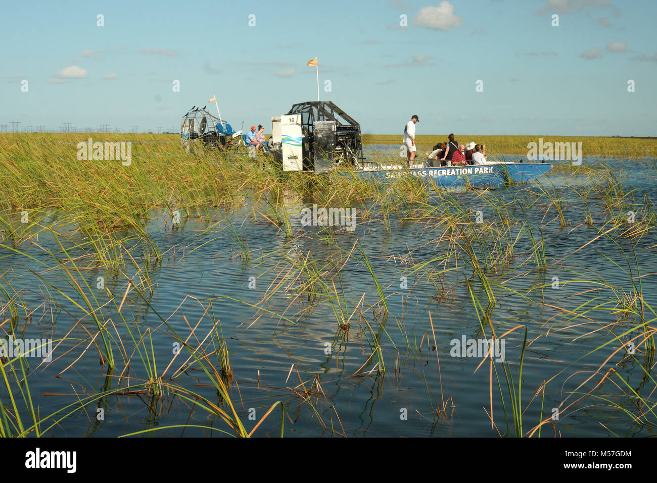 Seagrass Everglades Park, Fort Lauderdale, FL Stock Photo Alamy