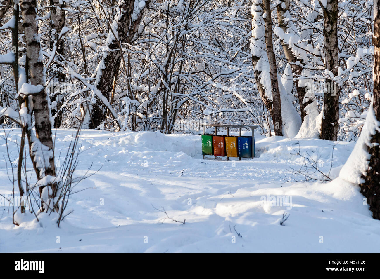 A row of four colorful trash bins in a winter park. Keep the nature clean. Snow covered trees, nobody around Stock Photo