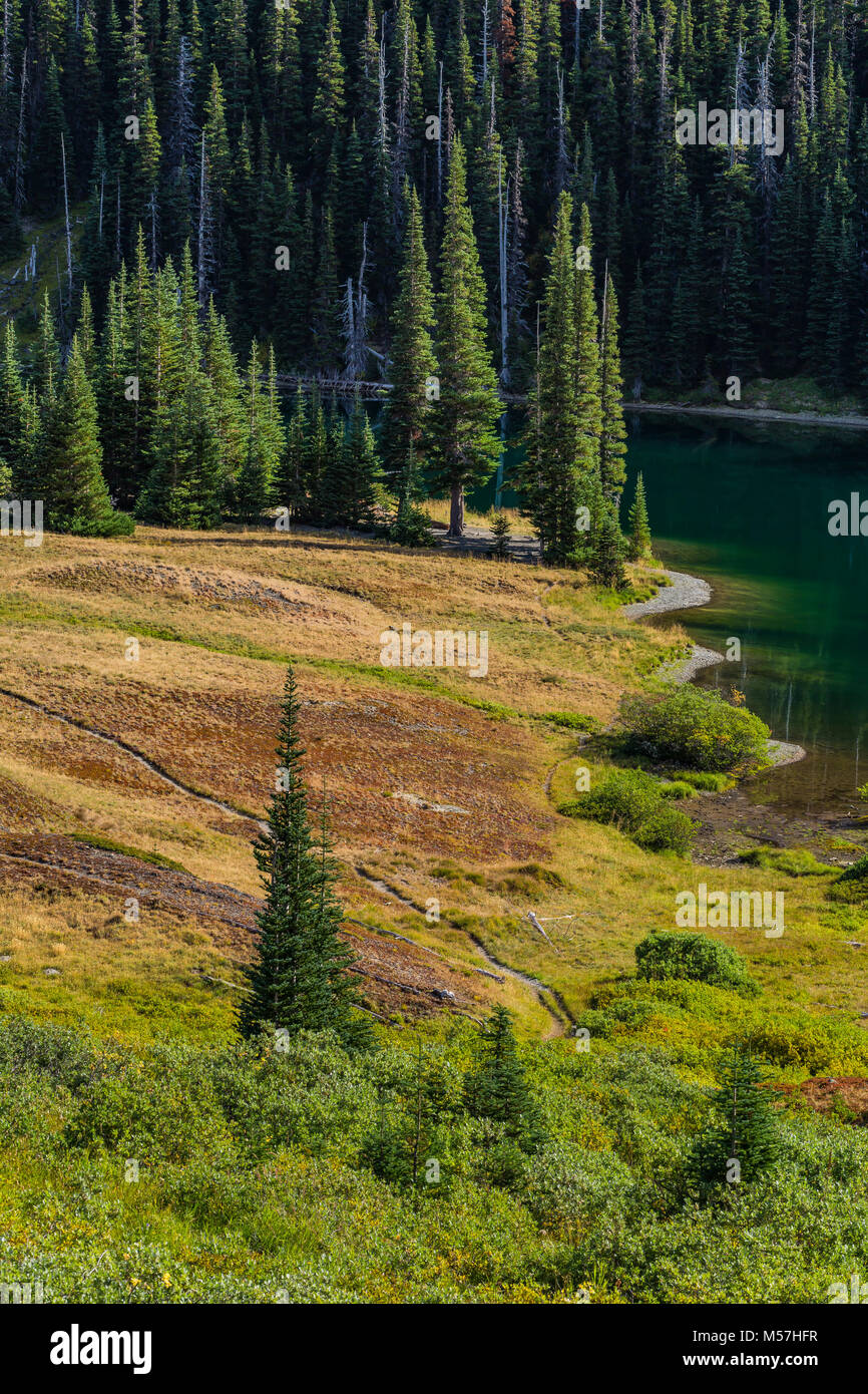 Moose Lake in Grand Valley in Olympic National Park, Washington State
