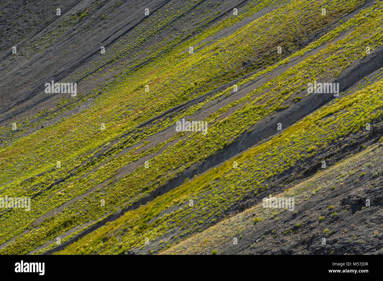 Mountainside in the Cameron Valley backlit by the sun, viewed from