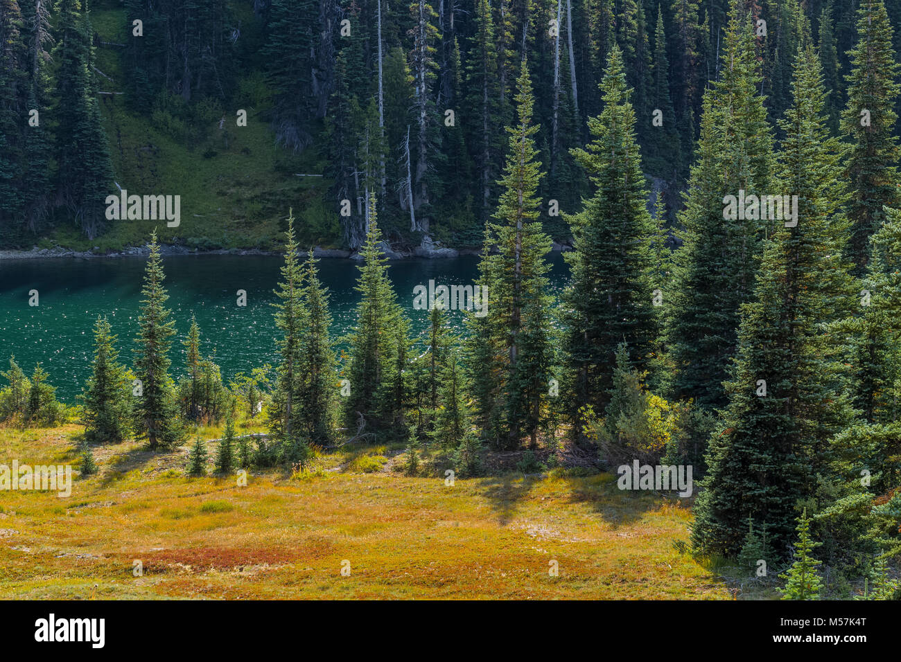 Shore of Moose Lake, Grand Valley in Olympic National Park, Washington
