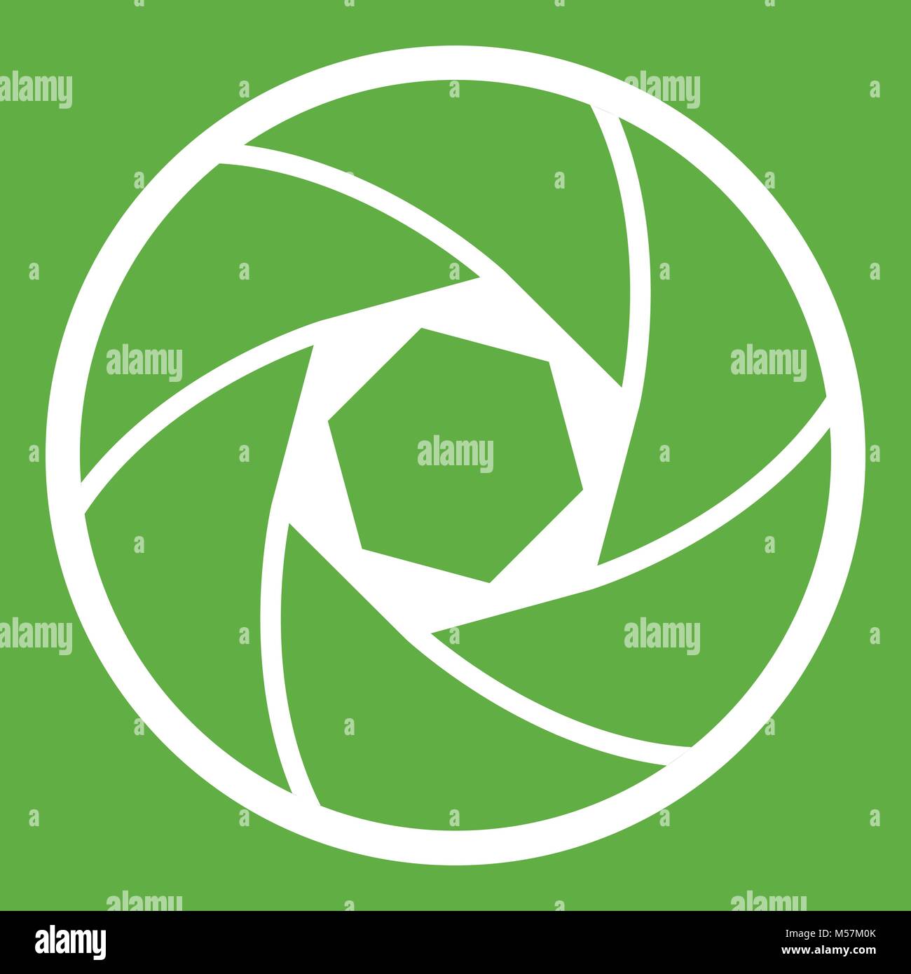 Professional objective icon green Stock Vector Image & Art - Alamy