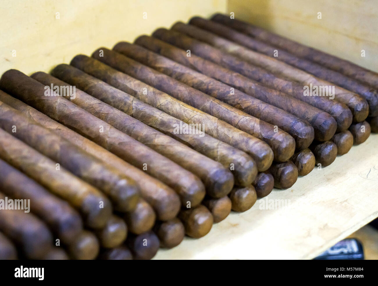 Graycliff Cigar Factory, Nassau, Bahamas Stock Photo Alamy