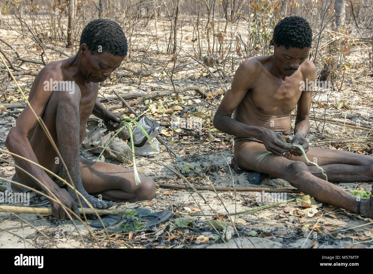 Members of the San Tribe using traditional methods to make the string of a bow. Stock Photo