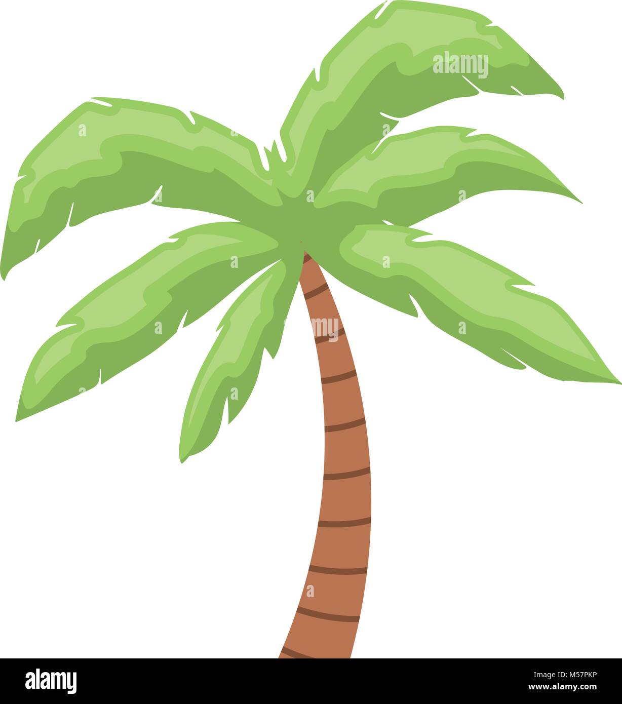 tree palm tropical plant Stock Vector Image & Art - Alamy