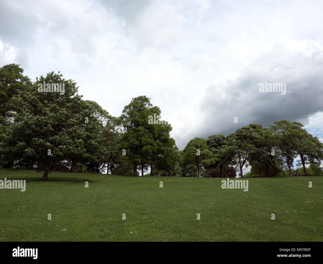 Roundhay Park, Leeds, West Yorkshire, England Stock Photo Alamy
