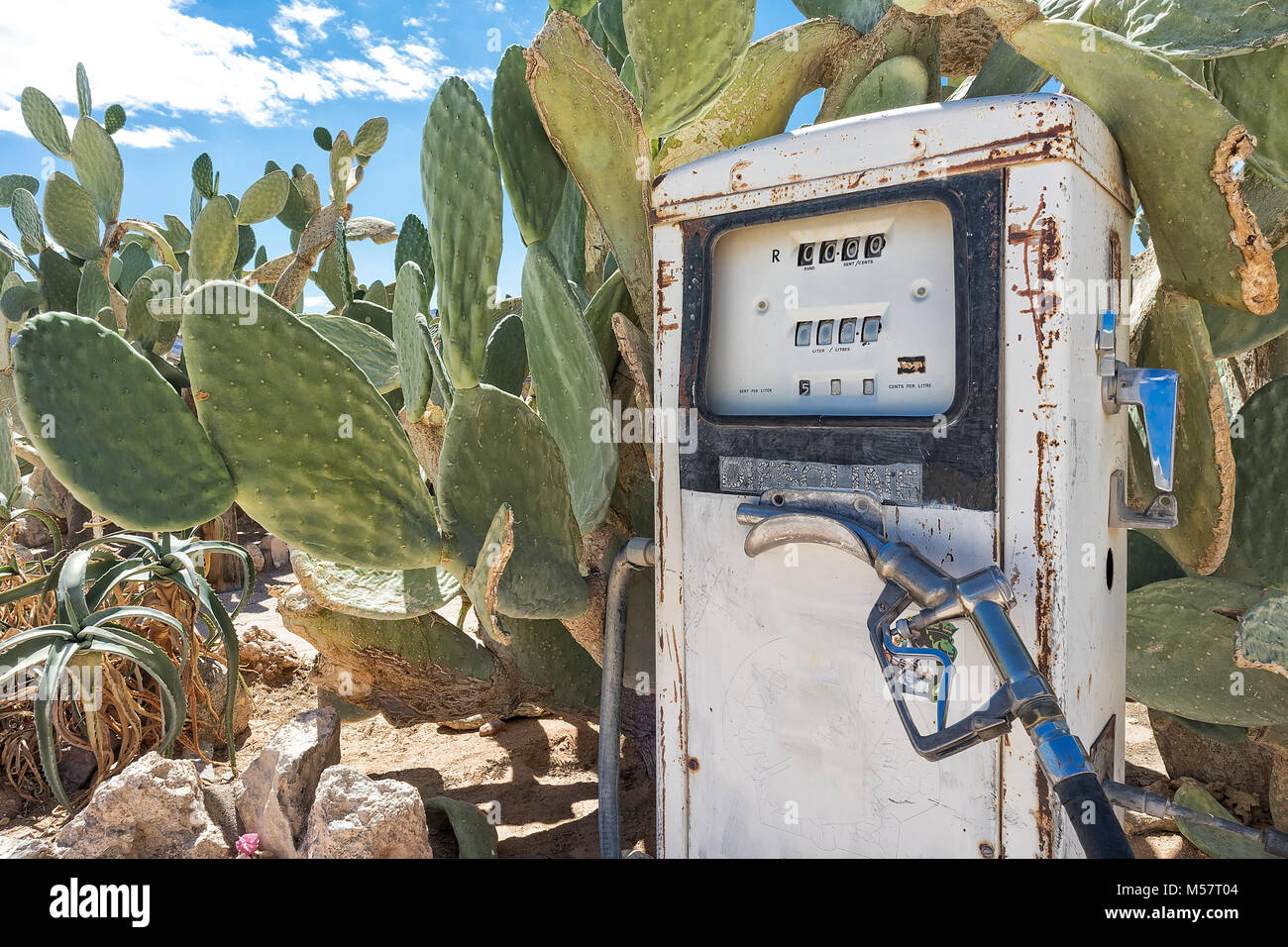 mørk Aja Disciplin Ancient fuel pump in Namibia desert with cactus Stock Photo - Alamy