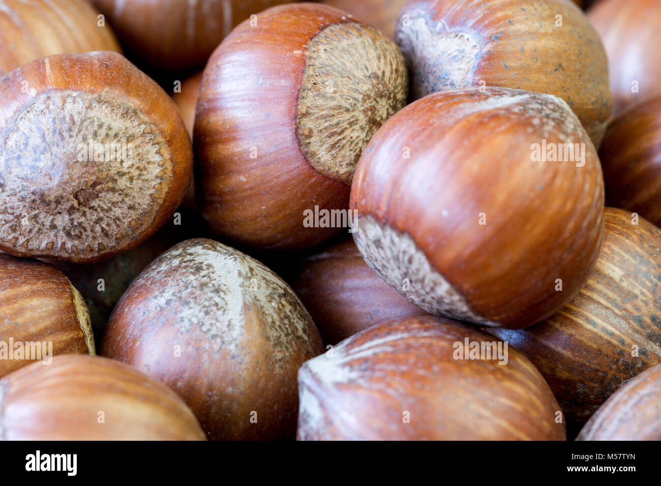 Close up of some unshelled hazelnuts Stock Photo