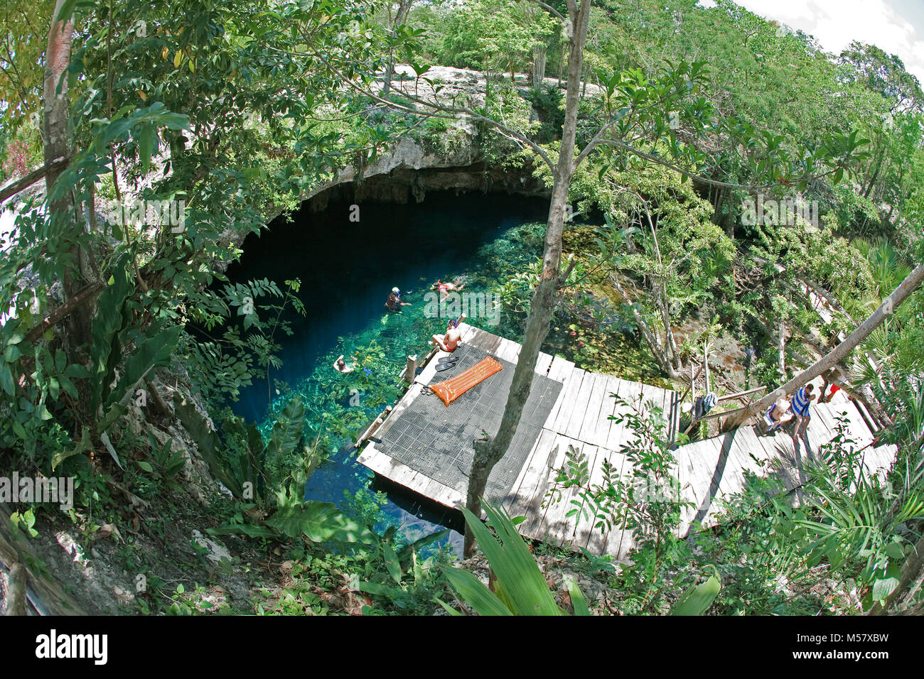 Snorkeler swimming in crystal clear water of Grand Cenote, Cenotes, Tulum, Riviera Maya, Yucatan, Quintana Roo, Mexico, Caribbean Stock Photo