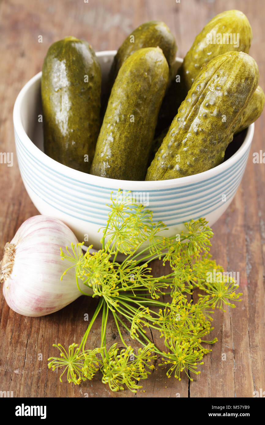 Pickled cucumbers with dill, garlic and pepper Stock Photo