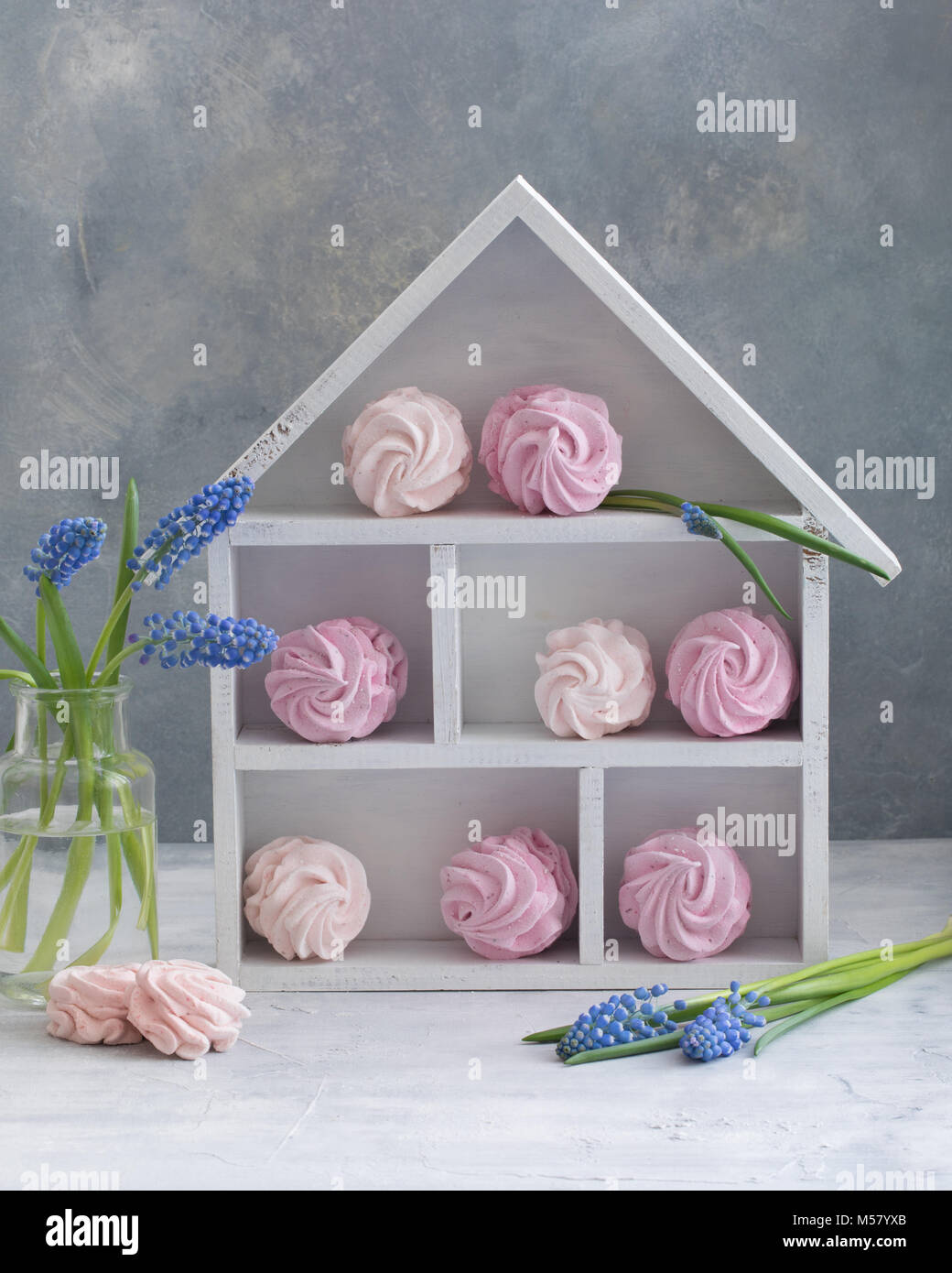 Russian Marshmallow Zephyr and spring blue Muscari in the white house