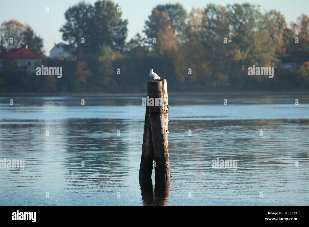 River flowing into sea hi-res stock photography and images - Alamy
