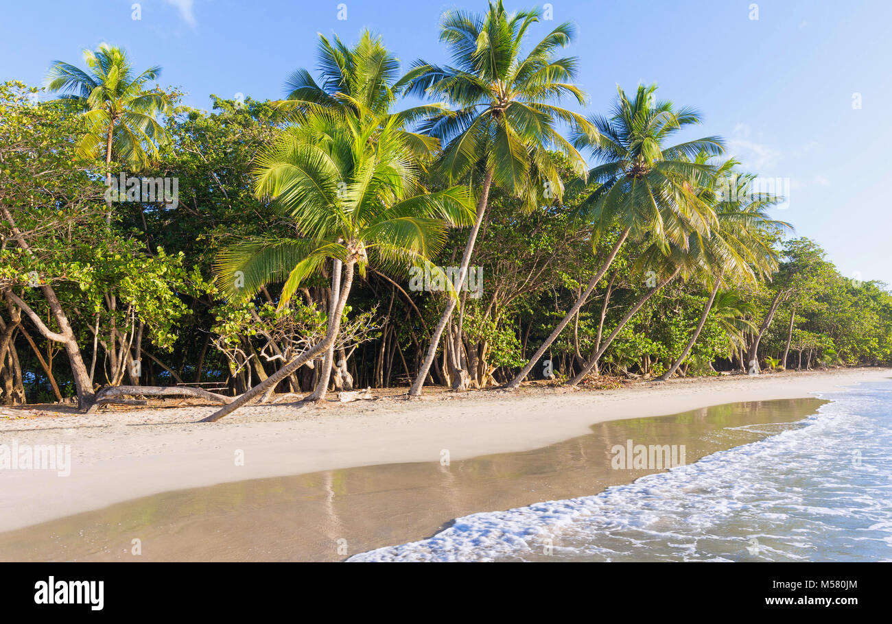 Caribbean sand beach hi-res stock photography and images - Alamy