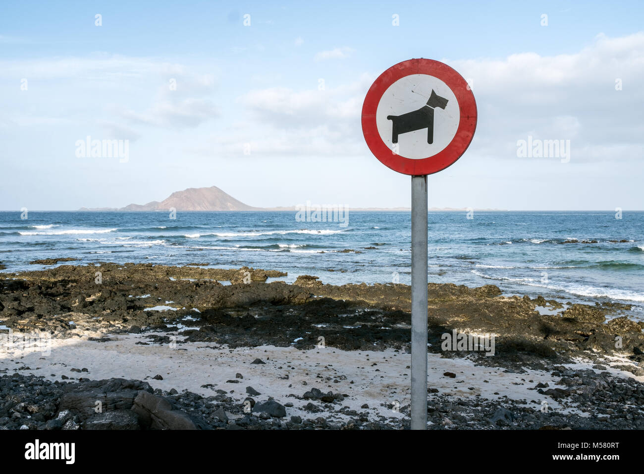 Sign 'no dogs' at a beach of Corralejo, Spain, Canary Islands, Spain, Europe, Africa. In the background the island 'Isla de los Lobos'. Stock Photo