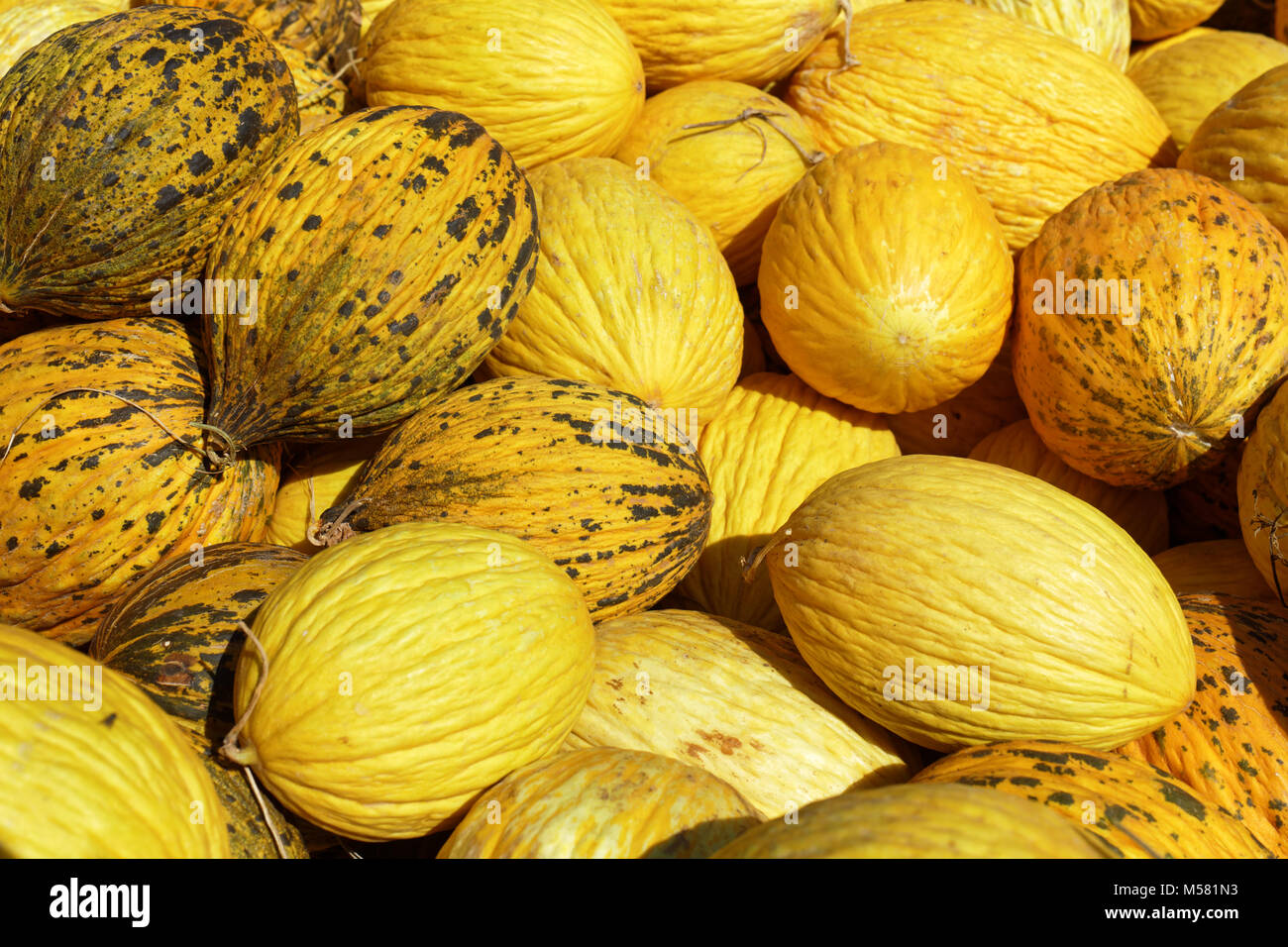 Turkish fresh melons on a market stall Stock Photo