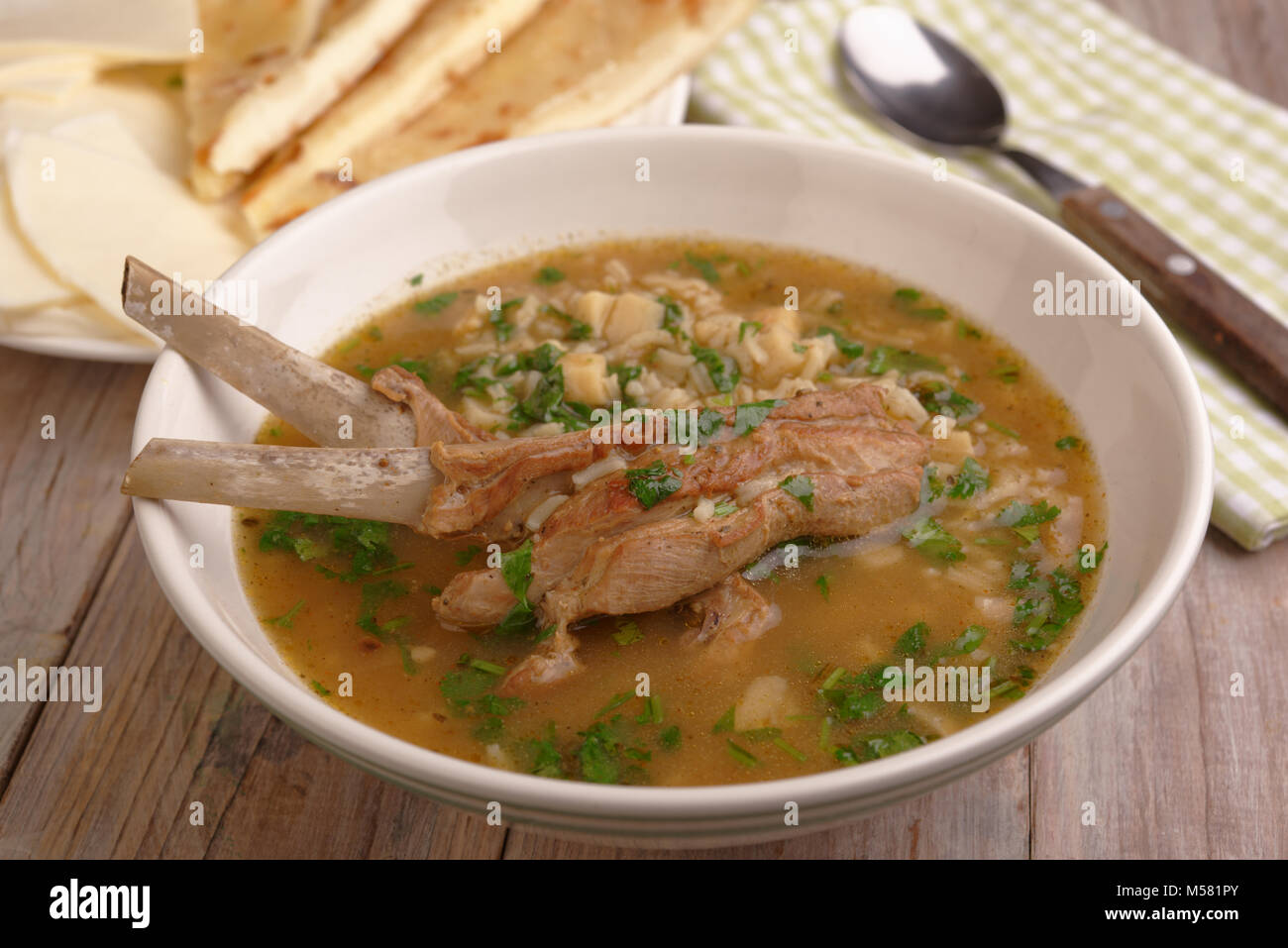 Soup Kharcho, the traditional soup with meat and rice Stock