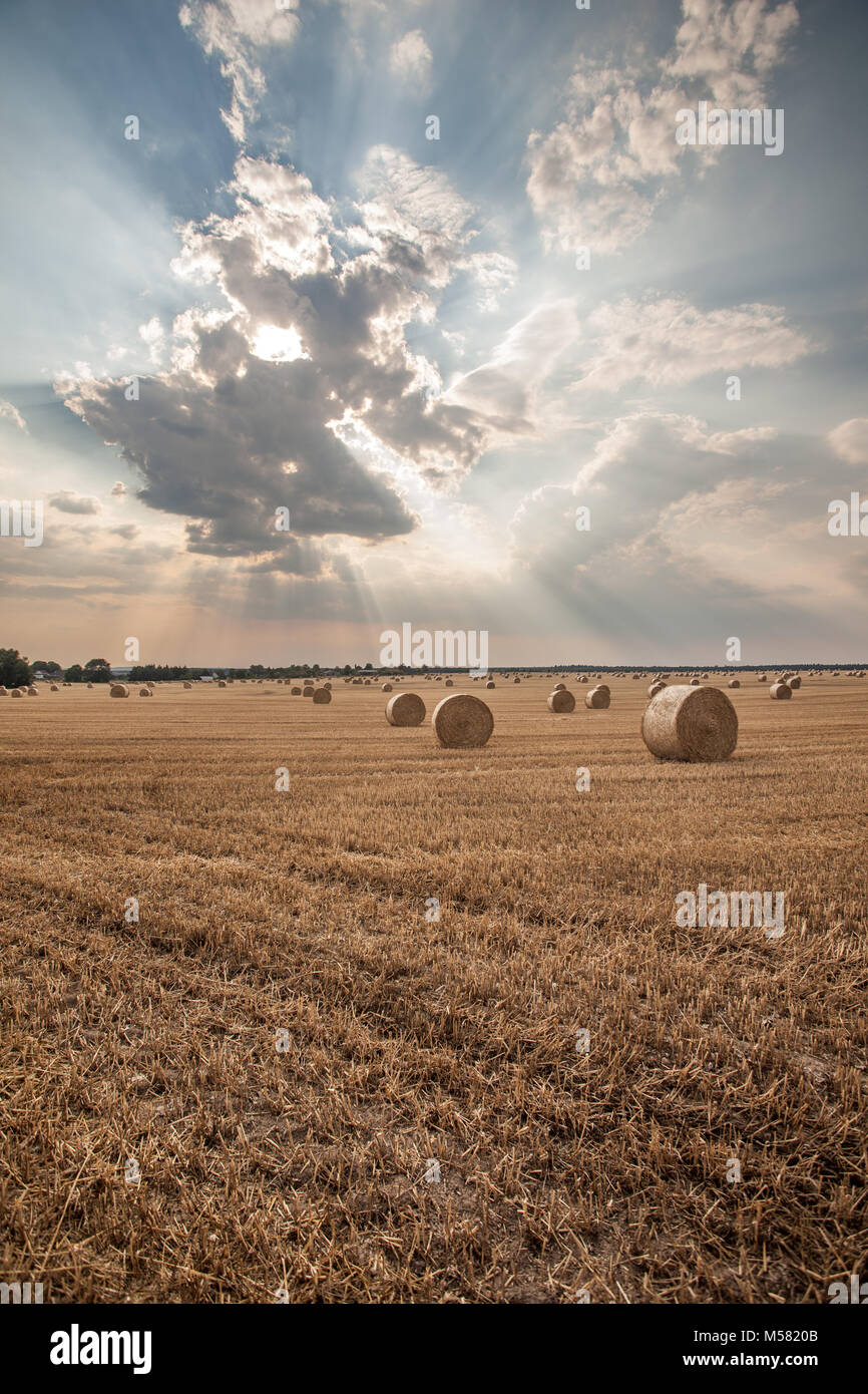 Field near Jacobsdorf, Brandenburg, Germany. The sun behind clouds, sunrays in the sky, bales of staw lie on the stubble field. Stock Photo