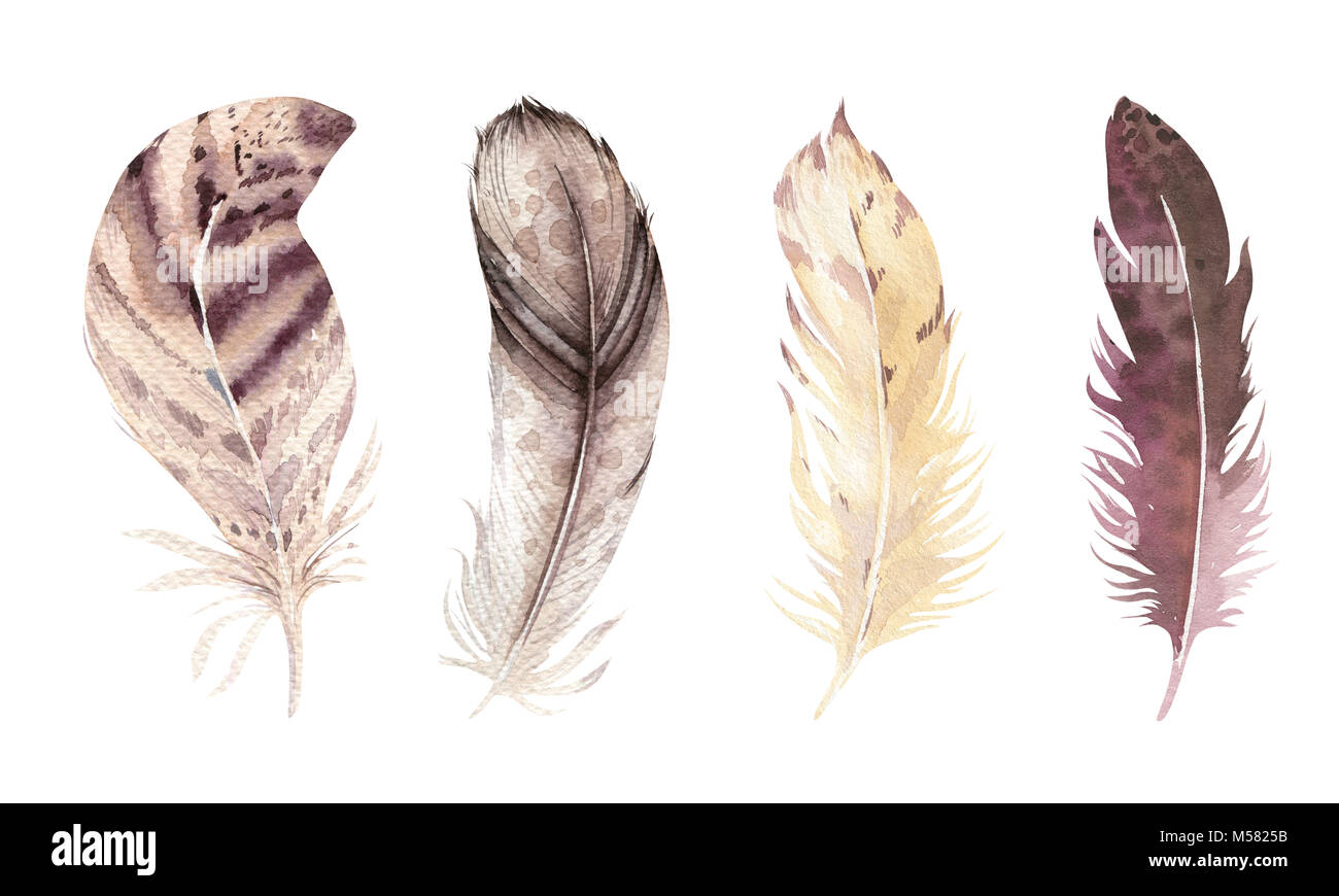 Hand drawn watercolor vibrant feather set. Boho style. illustration ...