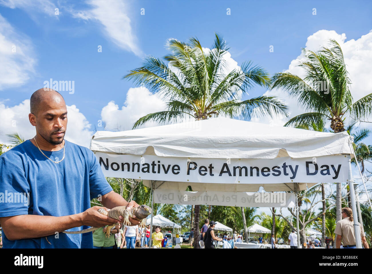 Miami Florida,Metrozoo,Nonnative Pet Amnesty Day,unwanted exotic animals,Fish & Wildlife Conservation Commission,blue tongued lizard,Black man men mal Stock Photo