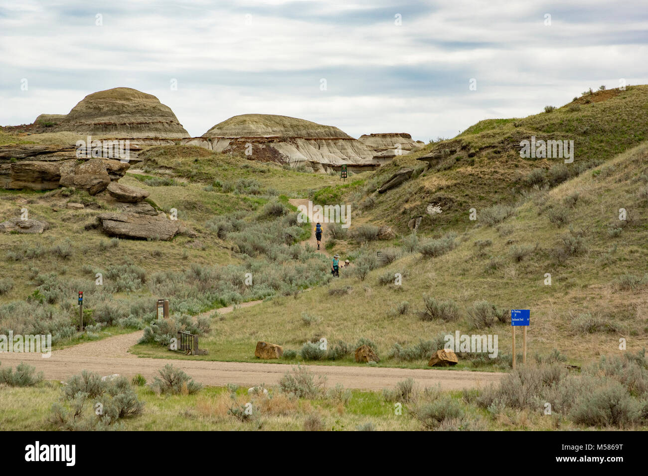 Dinosaur Provincial Park, Alberta, Canada.  Badlands Hiking Trail in springtime, east of the campground. Stock Photo
