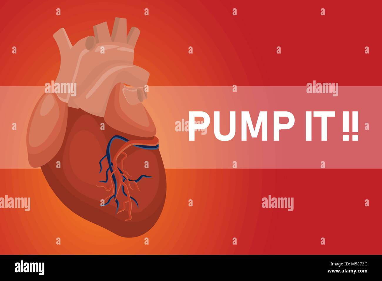 Pumping hearts hires stock photography and images Alamy
